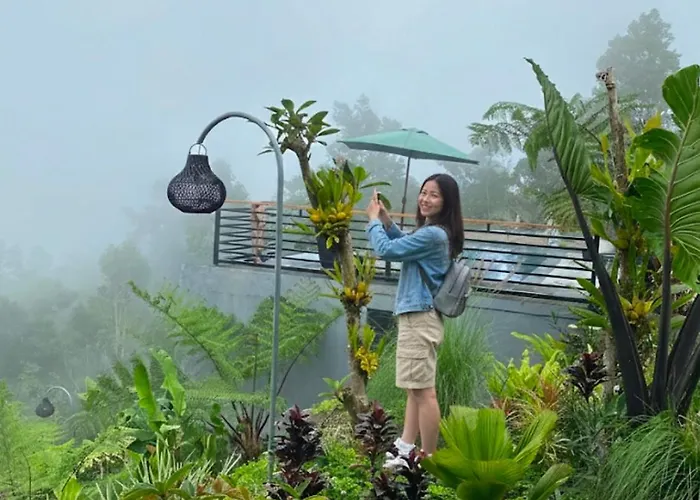 Pondok Canopée Munduk Maison d'hôtes 4*